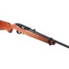 ruger 10-22 for sale