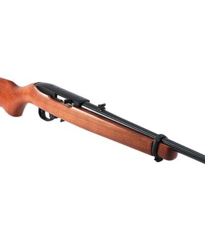 ruger 10-22 for sale