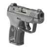 ruger lcp max for sale