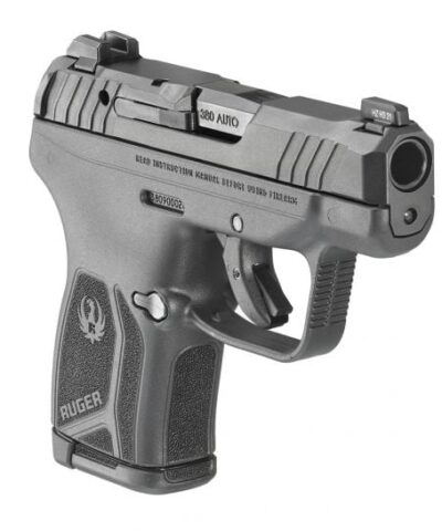 ruger lcp max for sale