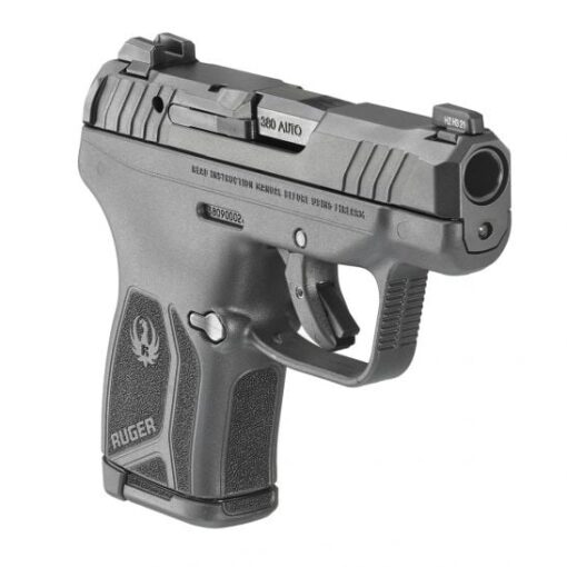 ruger lcp max for sale